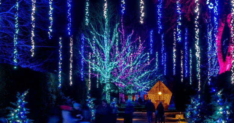 Longwood Gardens Christmas 2026: The Ultimate Holiday Wonderland Experience