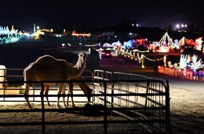 Christmas In The Country 2026: Your Ultimate Guide to a Festive Rural Escape