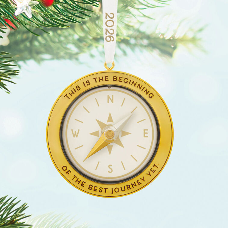 Best Christmas Ornaments 2026: Deck Your Halls Like a Pro