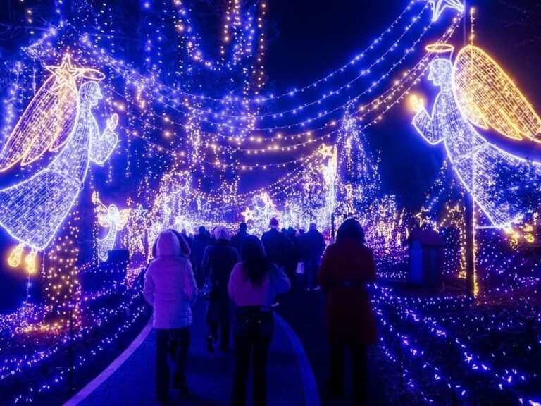 Your Ultimate Guide to the Cambria Christmas Market 2026